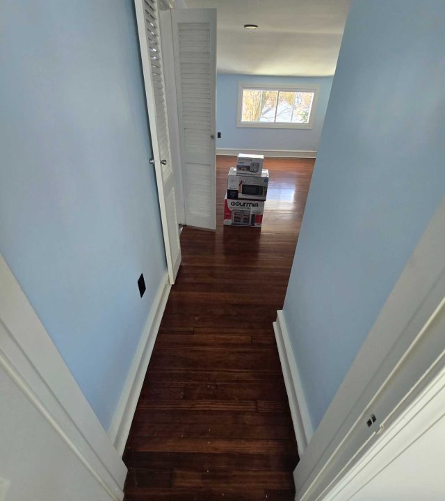 basement renovation